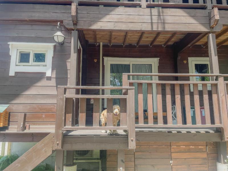 HAL Cottage - image 49