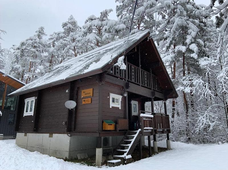 HAL Cottage - image 19