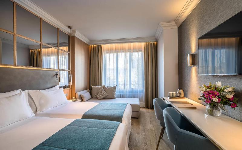 Premium King Room image 3