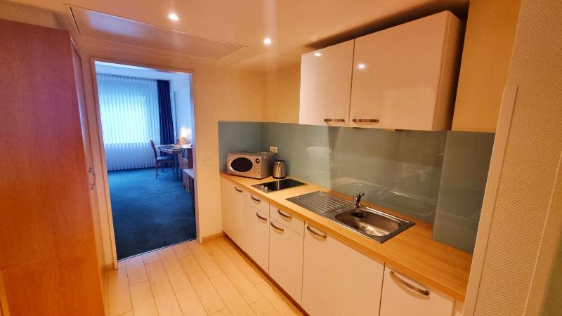 One-Bedroom Apartment image 4