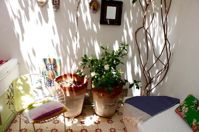 Hostal Casa Limon - image 9