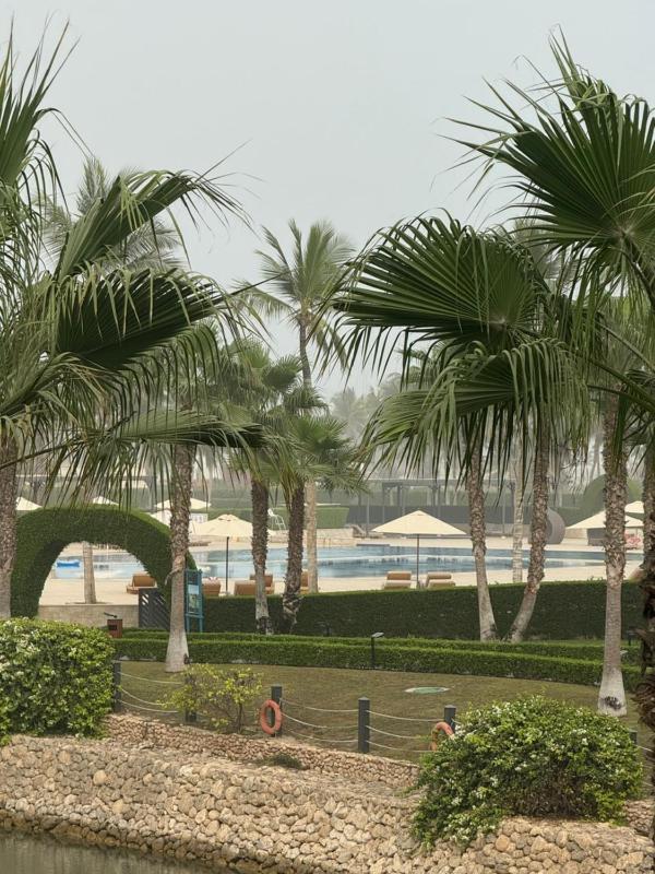 Marina Lagoon Hawana - image 29
