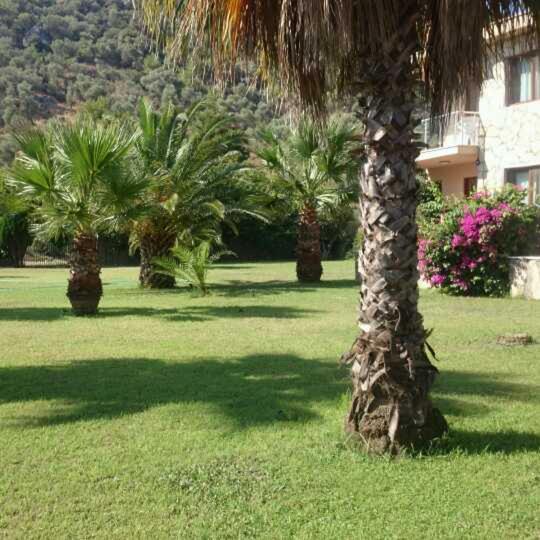 One-Bedroom Apartment image 2