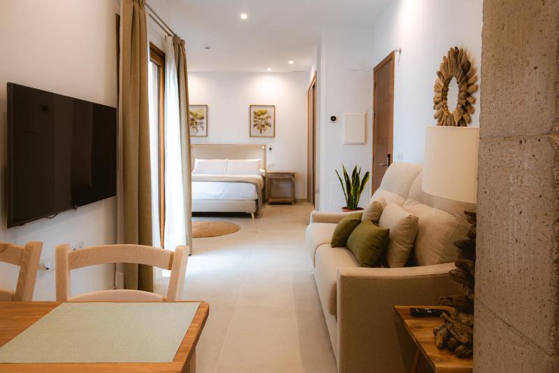 One-Bedroom Apartment image 3