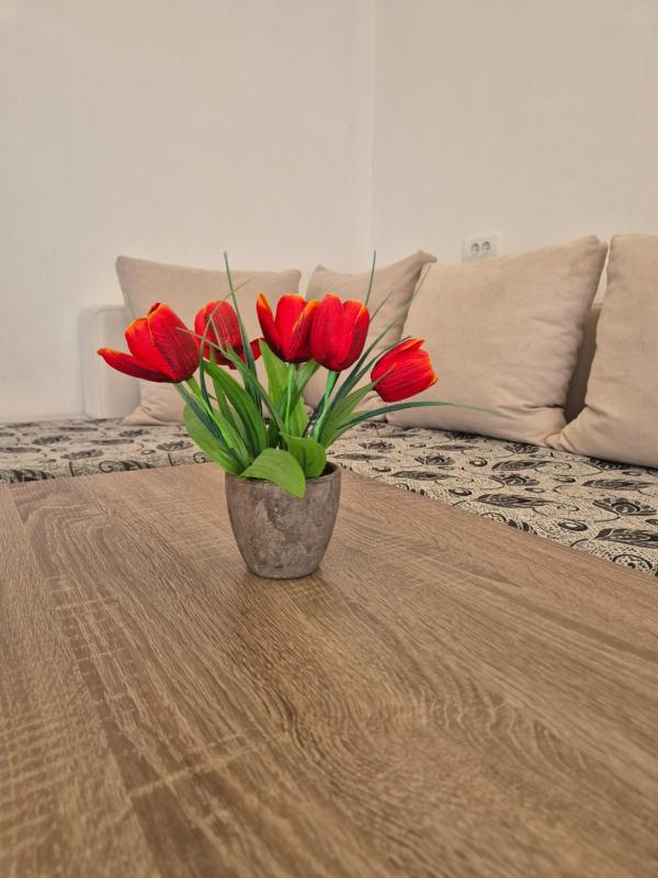 Ajum Apartments - image 11