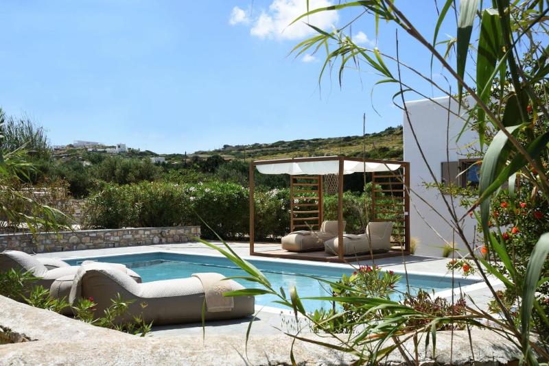 Executive Paros Villa Villa Aiolos Private Pool & Jacuzzi Villa Kostos - image 1