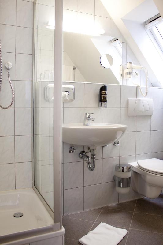 Large Single Room image 2