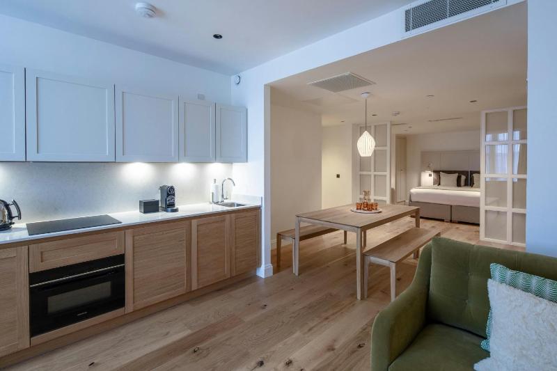 One-Bedroom King Suite with Sofa Bed and City View image 3