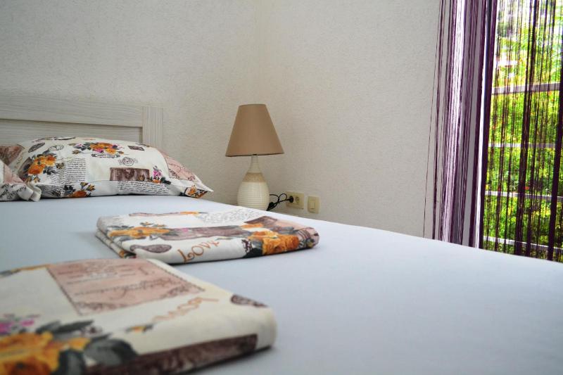 Studio Apartment with Mountain View image 4