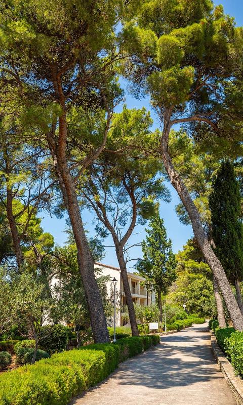 Aminess Vival Casa Velaris - image 27