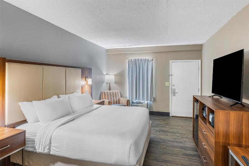King Room -Non-Smoking  image 3