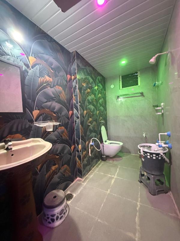 Roshini Homestay Hampi - image 9