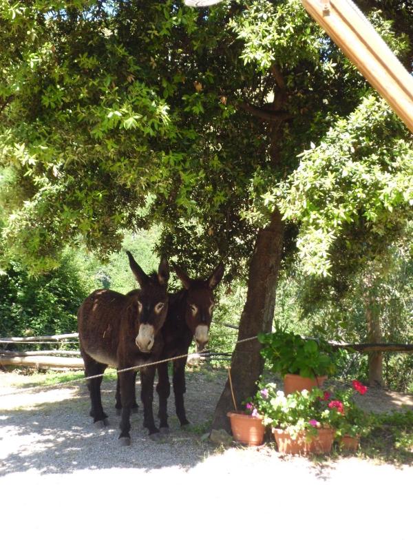 Casa Batia - image 33
