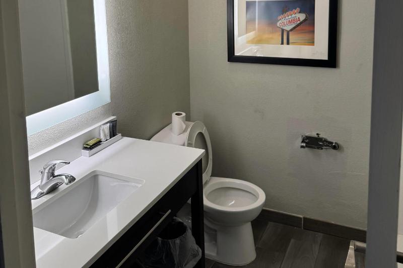 King Room - Non-Smoking image 3