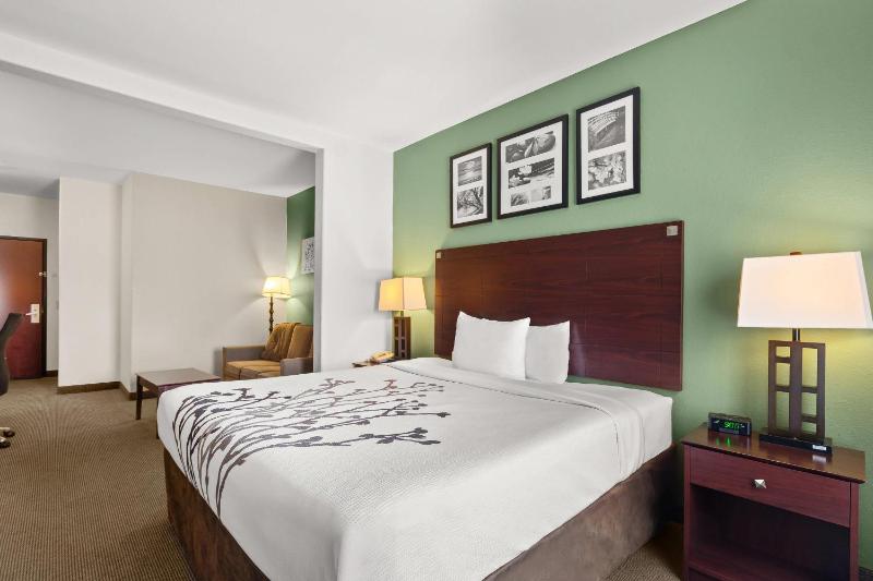 King Suite with Sofa Bed - Non Smoking image 4