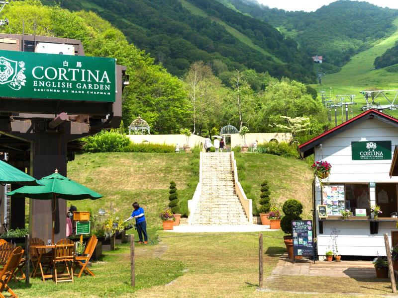 Hotel Green Plaza Hakuba - image 11