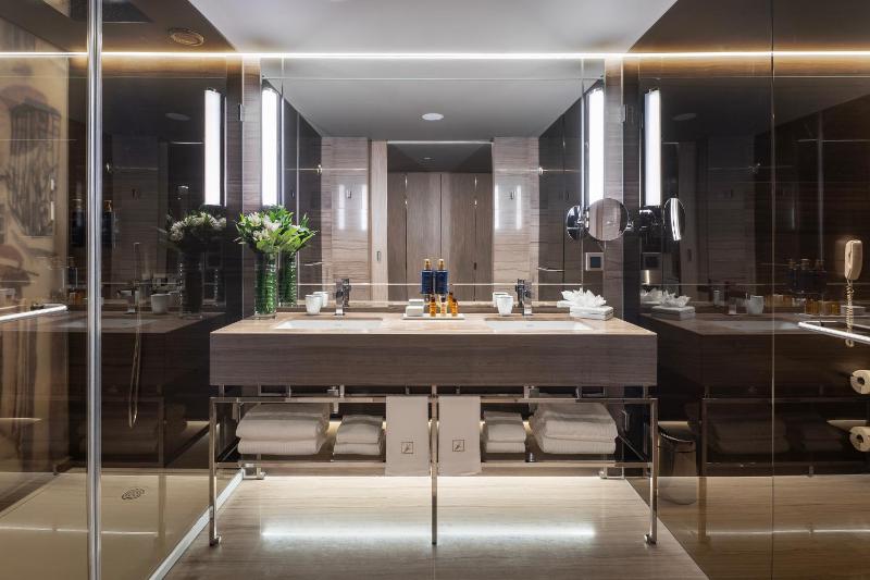 Premium Suite image 3