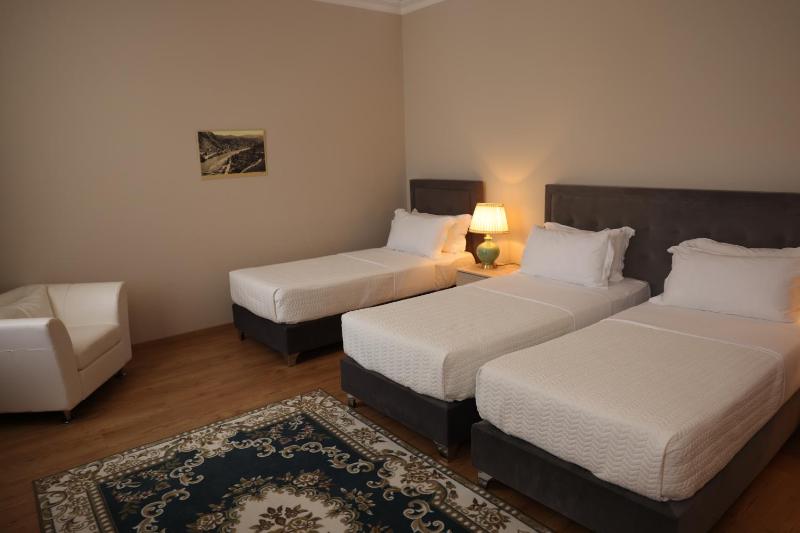 Deluxe Triple Room image 1