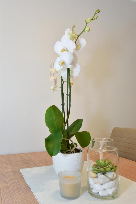 Luxury One-Bedroom Apartment with Terrace image 2
