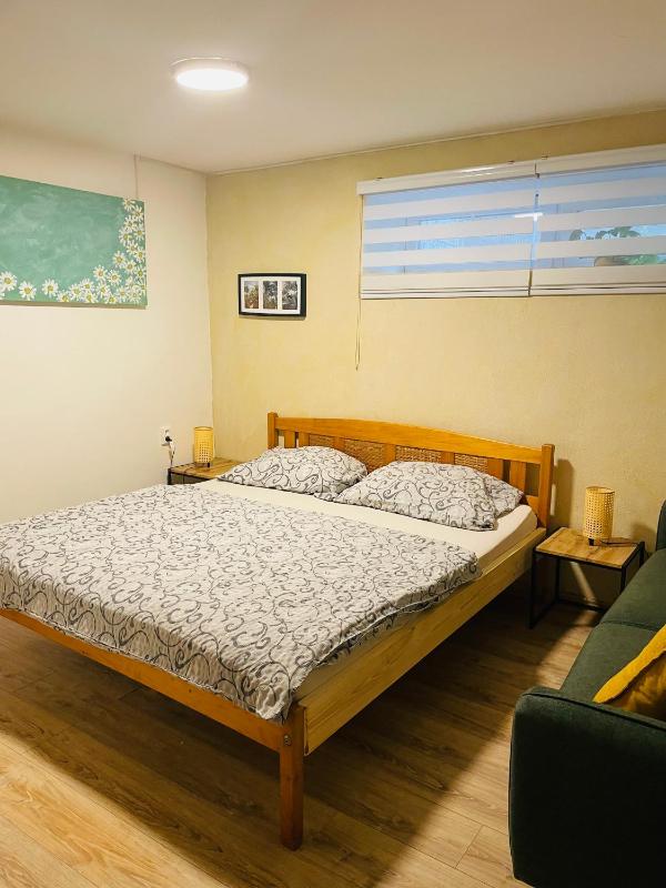 Standard Apartment image 4