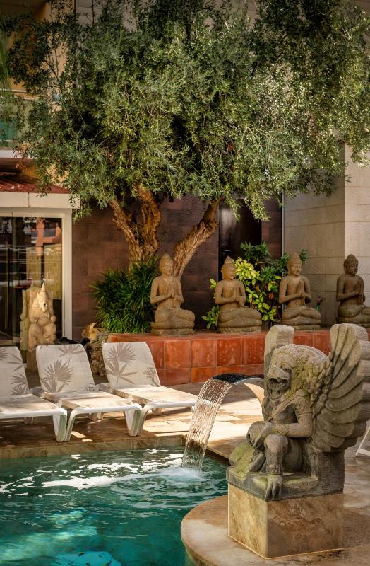 Hotel la Palmera & Spa - image 11
