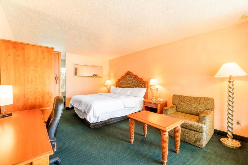1 Bedroom Apartment image 4