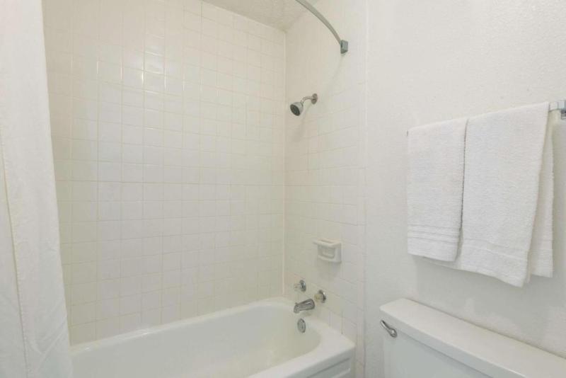1 Bedroom Apartment image 3