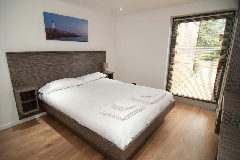 One-Bedroom Apartment image 4