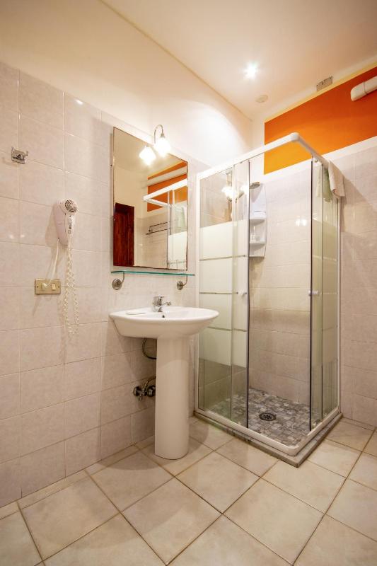 Deluxe Double or Twin Room image 4