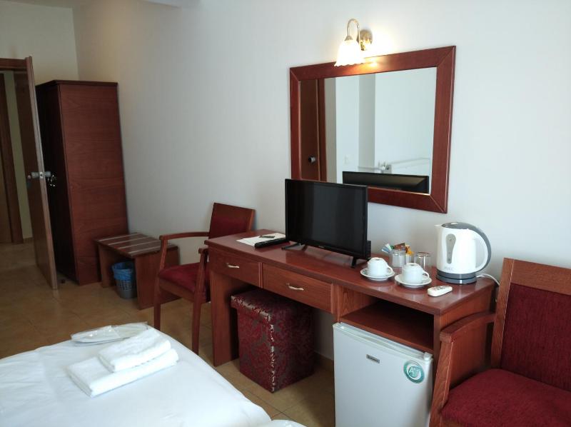 Deluxe Twin Room image 4