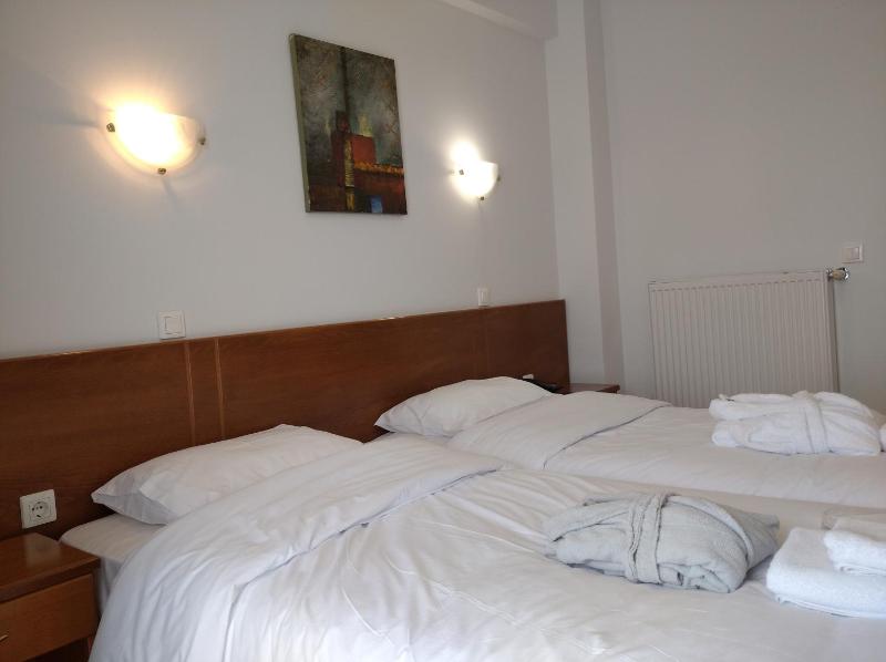 Deluxe Twin Room image 3