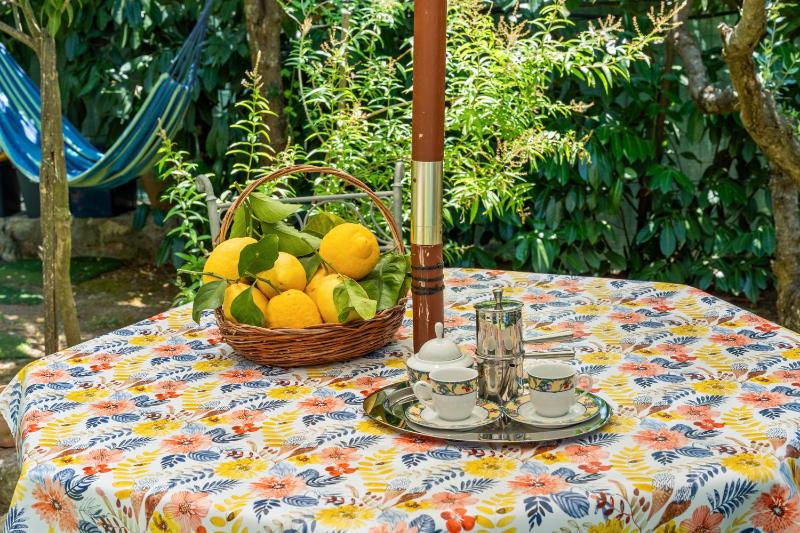 Cynara holiday house - image 27
