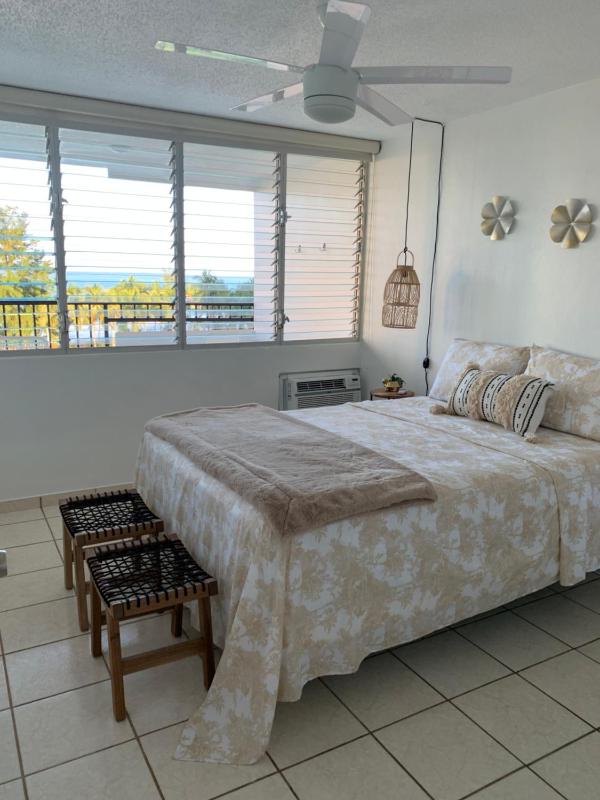 One-Bedroom Apartment image 2