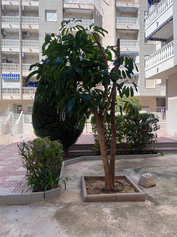 Perfect pool apartment LLM - image 4