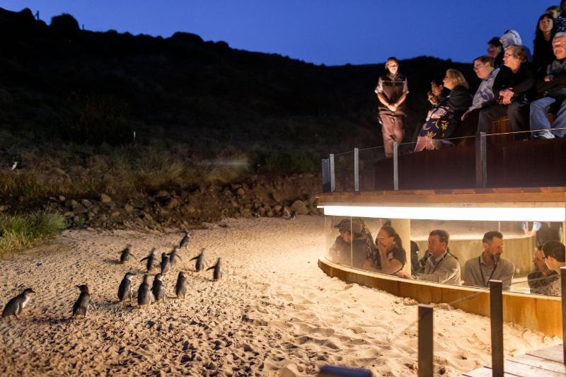 The Turnstone Retreat - image 15