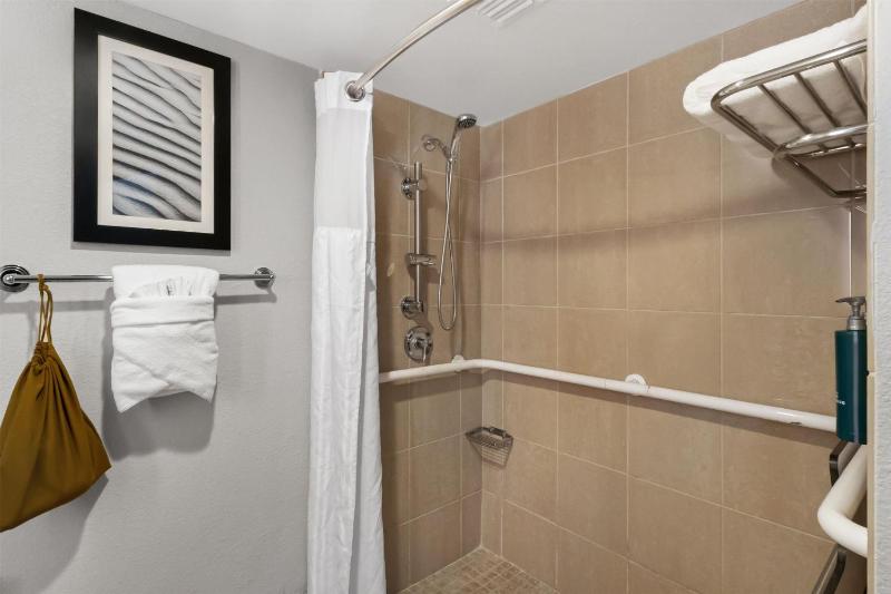 King Room with Roll-In Shower - Mobility Access/Non-Smoking image 2