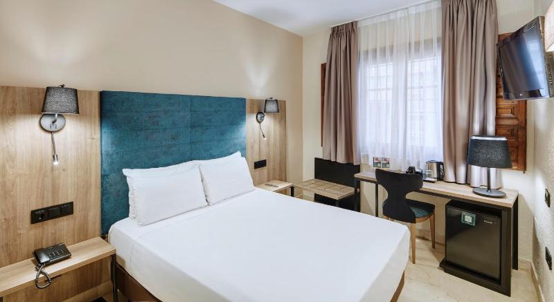Hotel Sercotel Alfonso VI - image 11