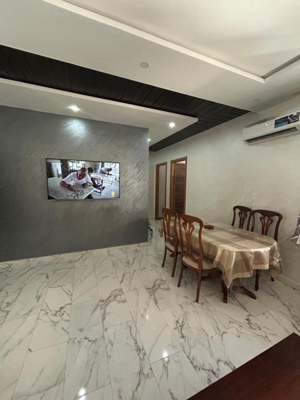 Aseel - image 3