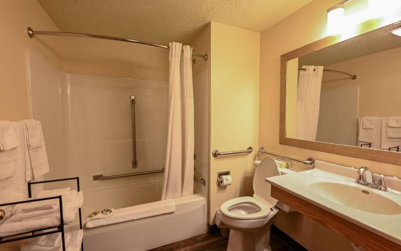 One-Bedroom Suite image 4