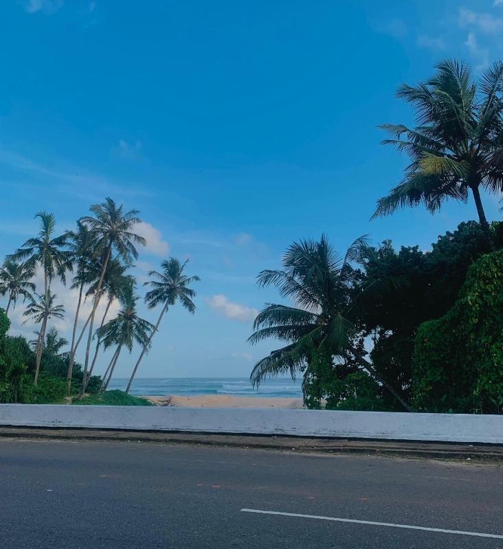 The Curry Lodge - Thimbiriya - image 11