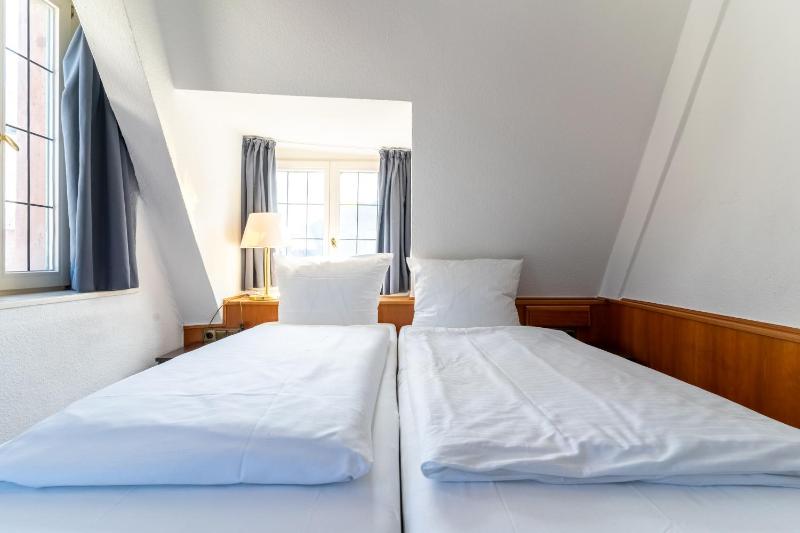 Hotel zum Ritter St Georg - Oldest Residential Building in Heidelberg since 1592 - image 13