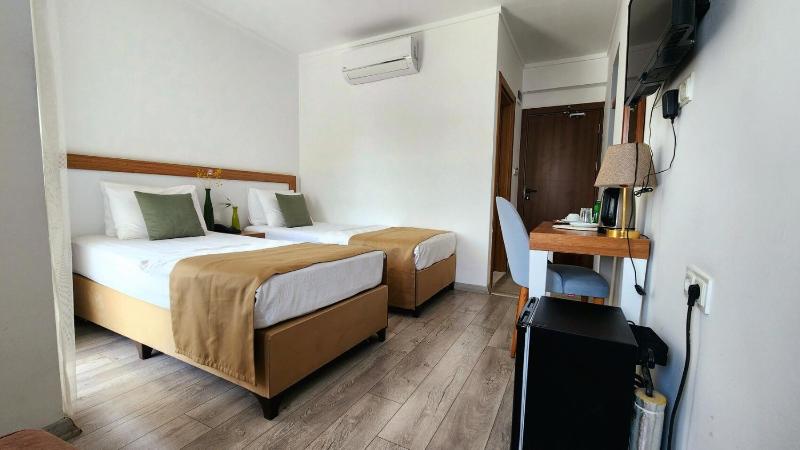 Large Twin Room image 4
