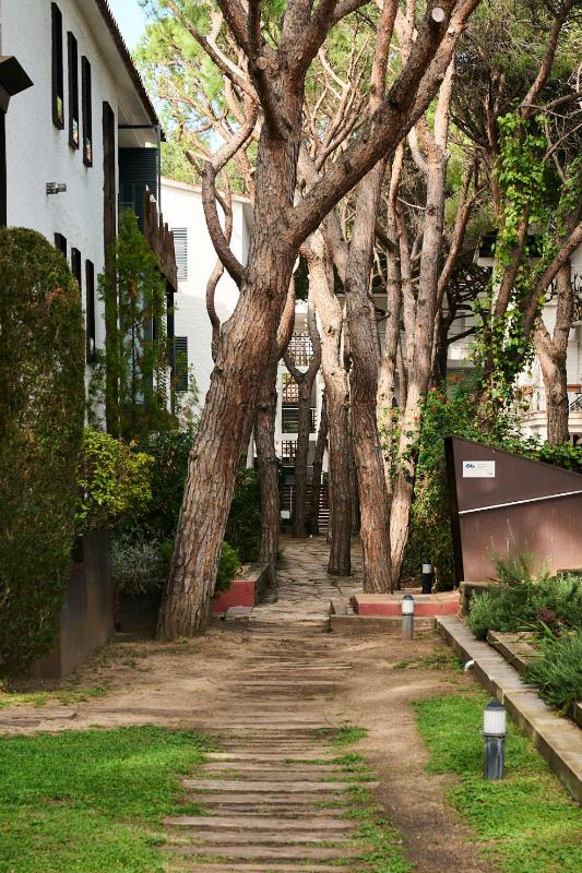 Family Room with Balcony image 3
