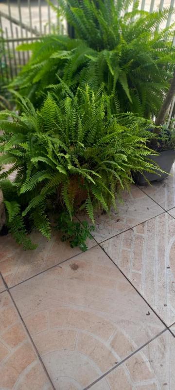 Casa COP30 - image 24