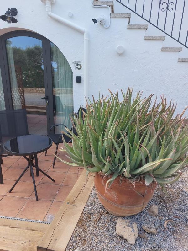 Apartamento Nuevo Ondina - image 24