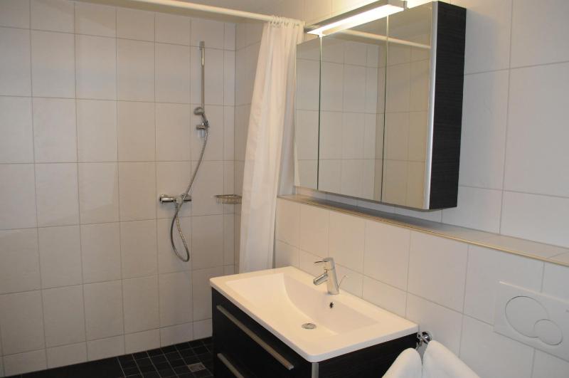 One-Bedroom Apartment (no Access to Pool during off season) image 2