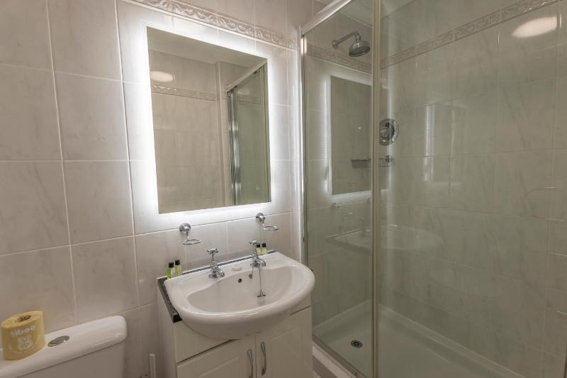 Standard Twin Room image 1