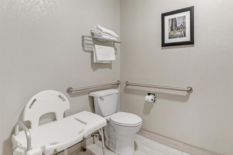 King Room with Roll-In Shower - Disability Access image 2