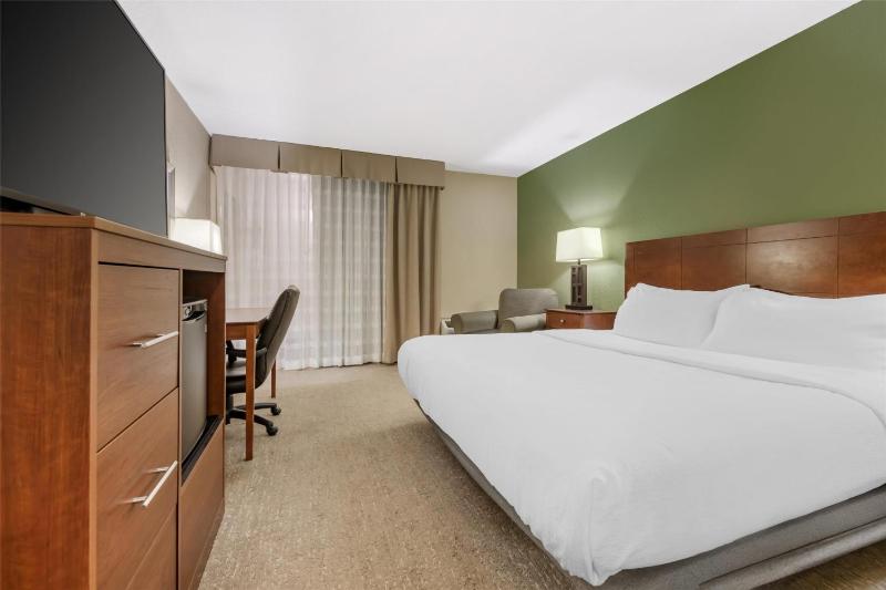 King Room  - Mobility Accessible image 3