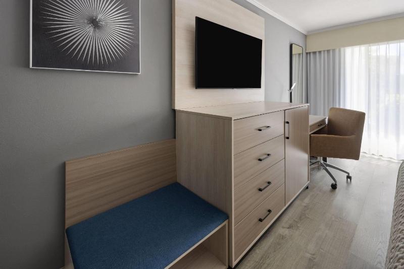 Deluxe King Room with Patio - Non-Smoking image 3